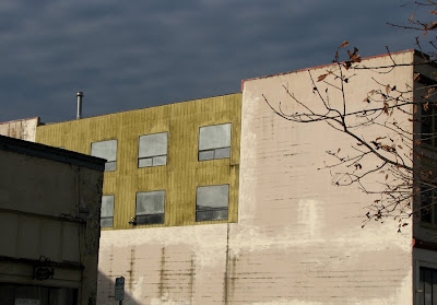 Building in Astoria, Bare Tree