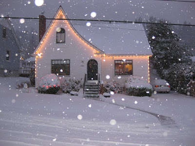 Snow in Astoria, 2008