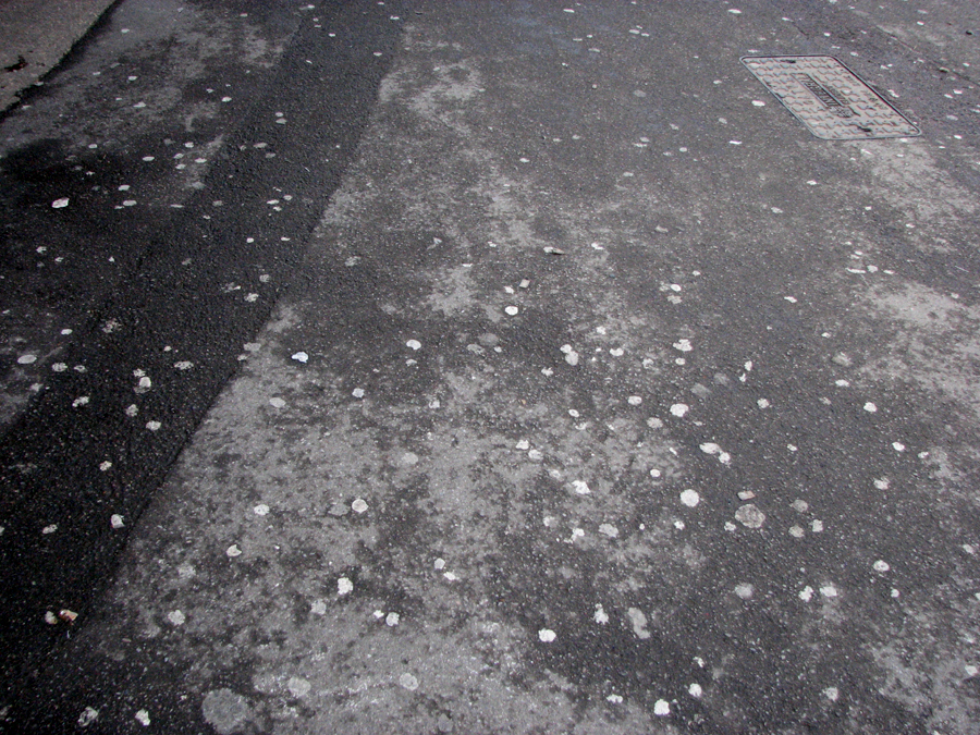 On the Pavement Chewing Gum