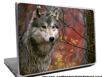 Laptop Gray Timber Wolf