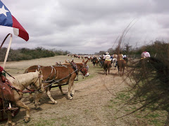 Wagon 8 on 7IL Ranch