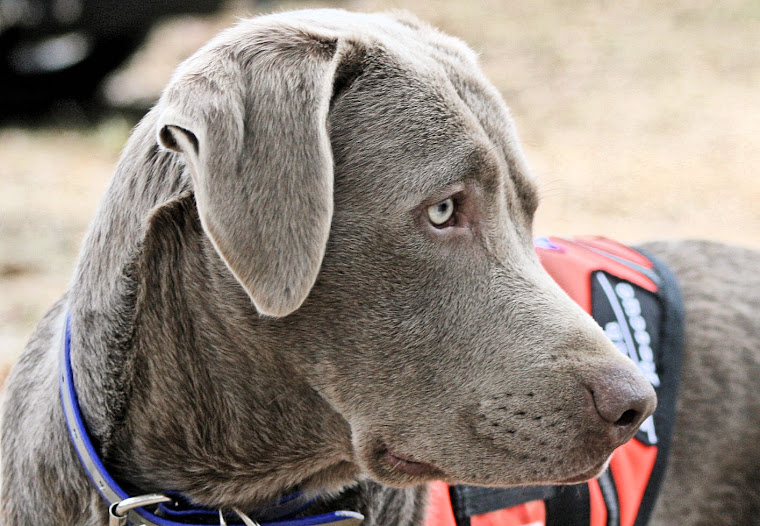 Chalk Creeks Silver City "TUG"