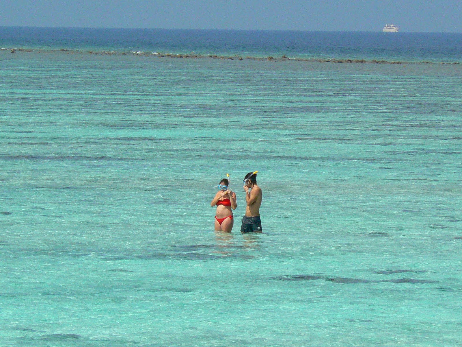 [P1920079.JPG]