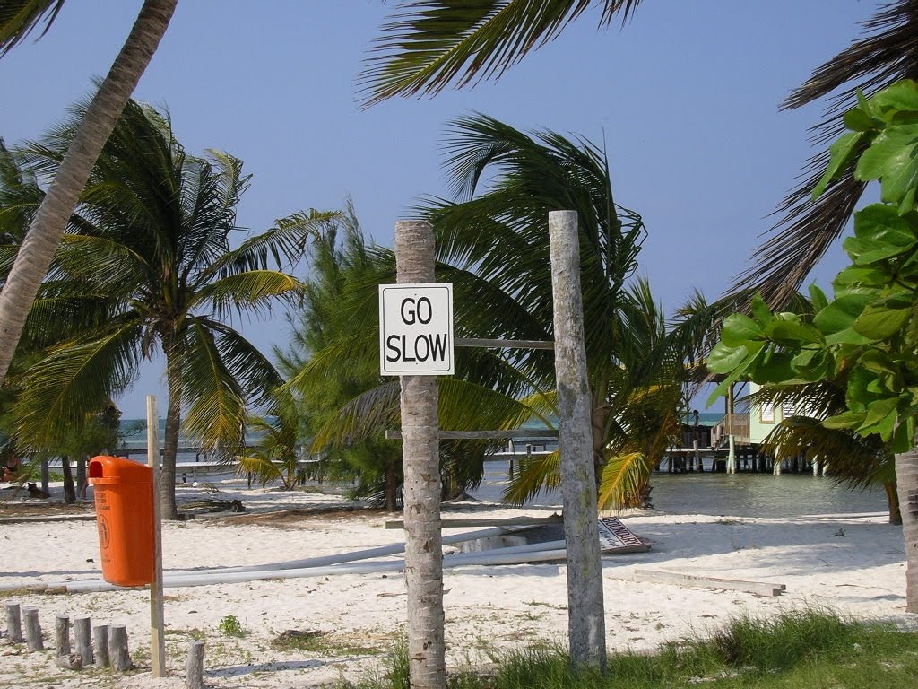 [9.+go+slow.JPG]