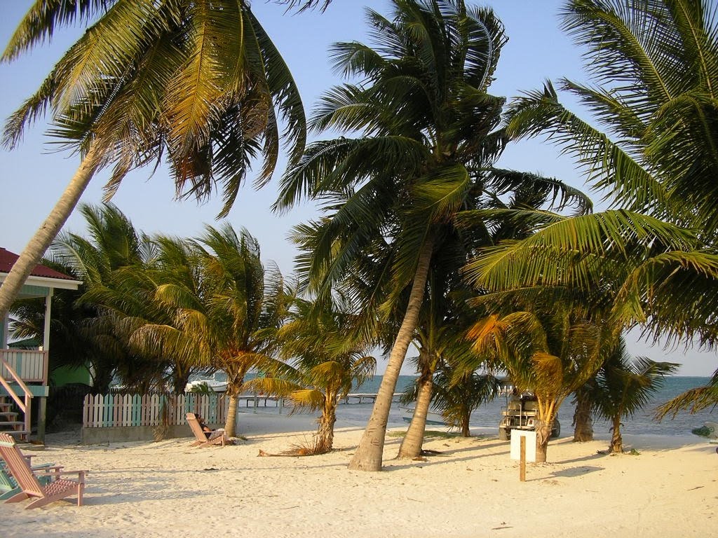 [10.+caye+caulker.JPG]