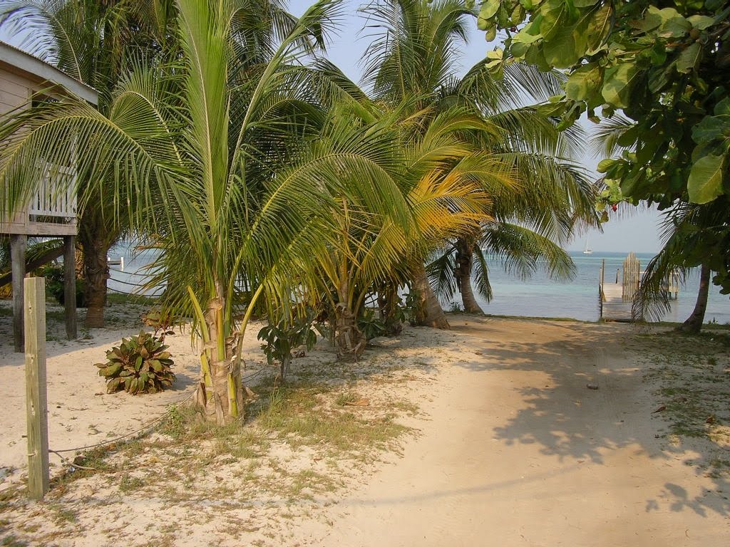 [13.+curte+hitel.JPG]