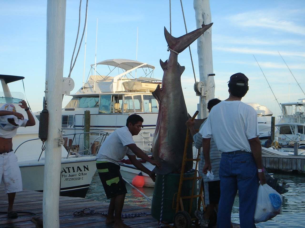 [5.+rechini+pescuit.jpg]