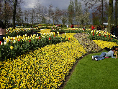 Amenajari florale Olanda