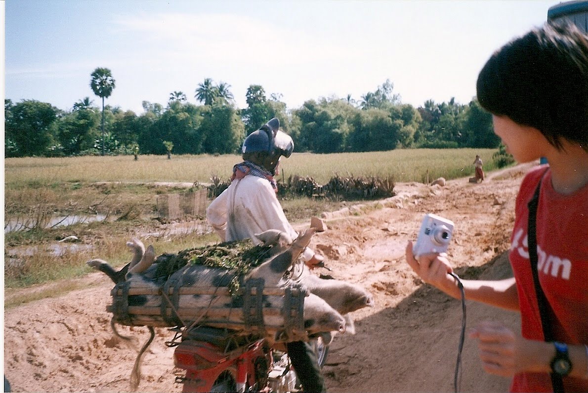 [21.+porcul+pe+motoreta.jpg]