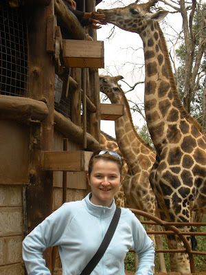 Imagini Nairobi: crescatorie de girafe