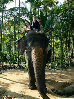 Calare pe elefant in Periyar National Park