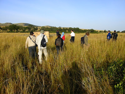 Safari Kenya: rezervatia Masai Mara