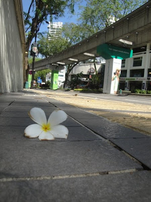 Floare tropicala Malaezia
