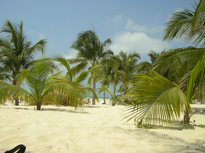 Nisip alb, palmieri, plaja exotica Caraibe