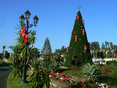 Obiective turistice Etiopia - pom de Craciun hotel Sheraton Addis Ababa