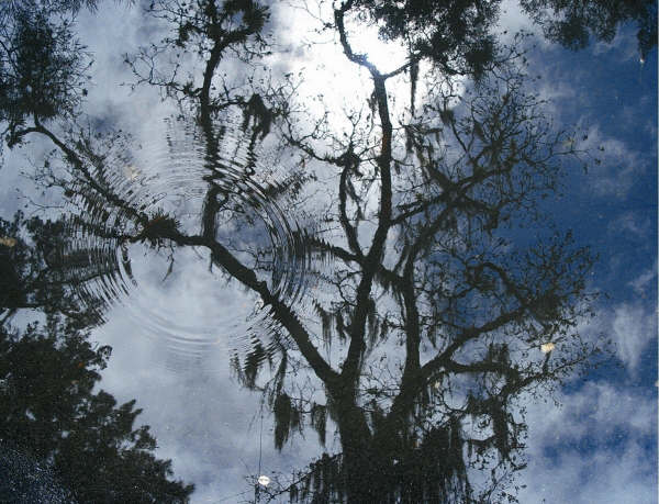 Una ventana más