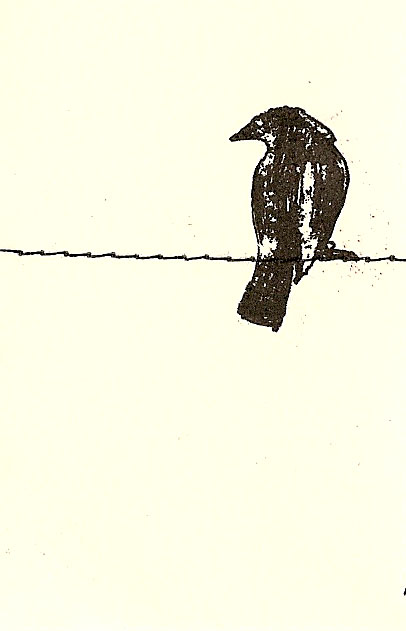 [bird+on+wire+2.jpg]