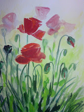 AMAPOLAS 2009