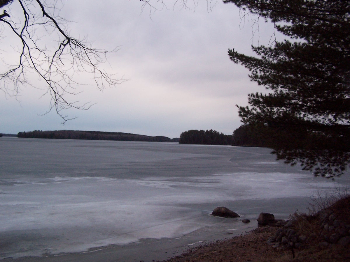 UP NORTH, OUR CABIN ON BEAR ISLAND LAKE