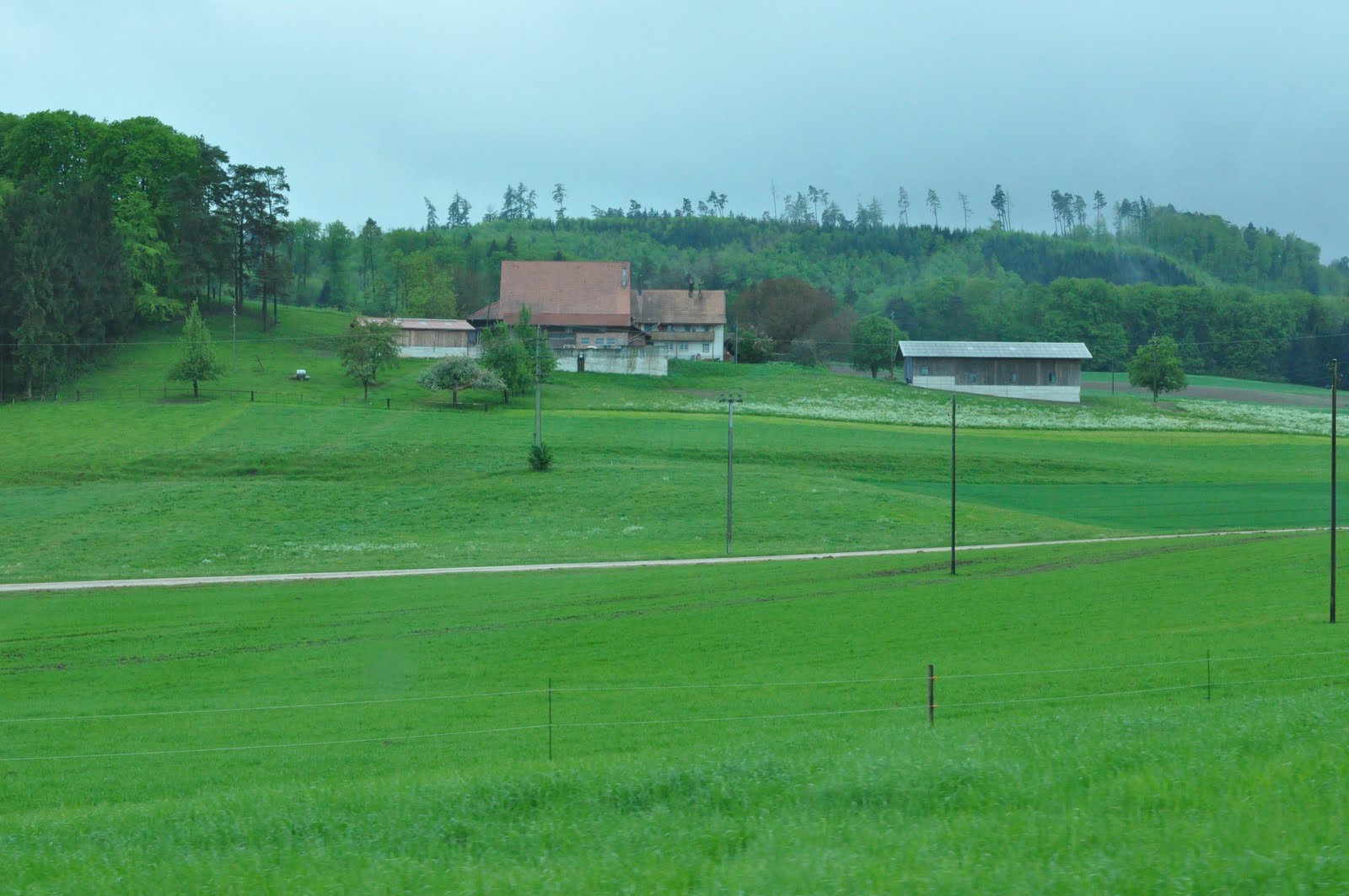 Romsa Farms 100 Acres = 40.5 Hectares