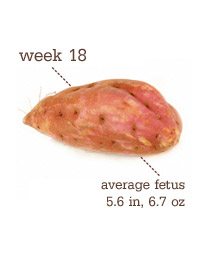 Week 18 - Sweet Potato (01.13.2010)
