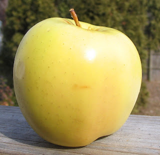 Golden Delicious Large Apple