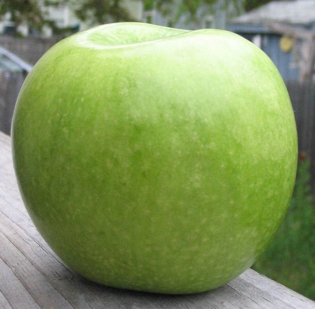 Granny Smith apples 🍏 🌿 Discover their tangy goodness, plus growing tips