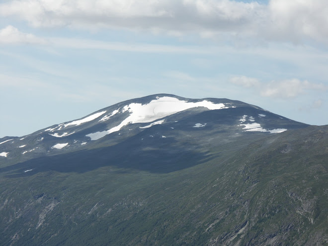 Norskt fjäll