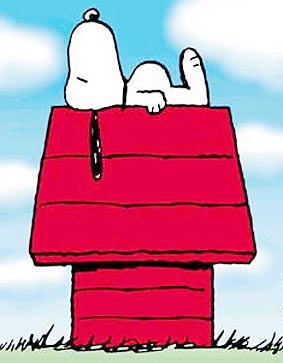 JOSEPH CACERES: NO ES UN PERRO VIRALATA