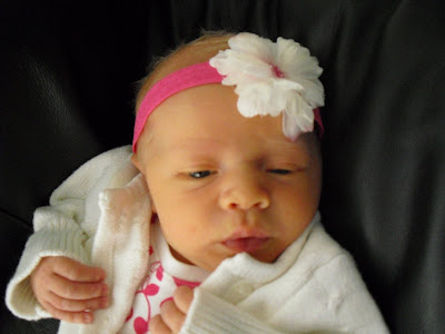 her much wheatleys so enjoyed already