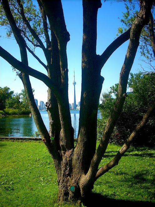 toronto island august 09