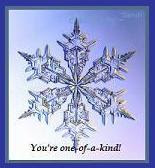 A special Snowflake Award from Sandi