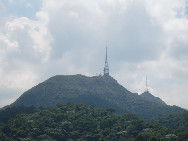 PICO DO JARAGUA.