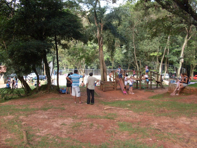 parque com diversos brinquedos