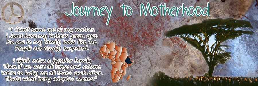 <b>Journey to Motherhood</b>