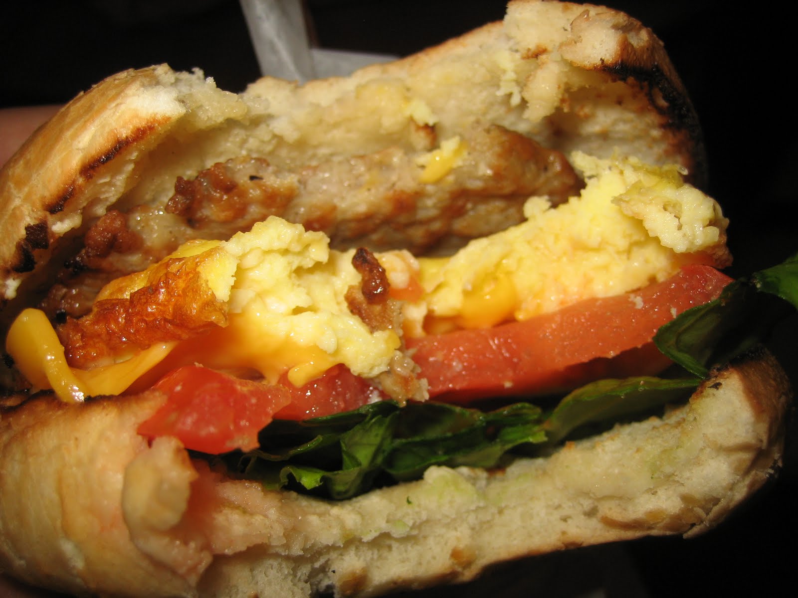 Cowtown Dennis Bagel BELT from Tim Horton's