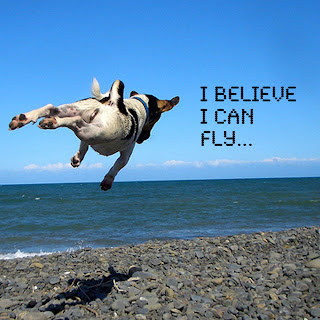 i+believe+i+can+fly.jpg