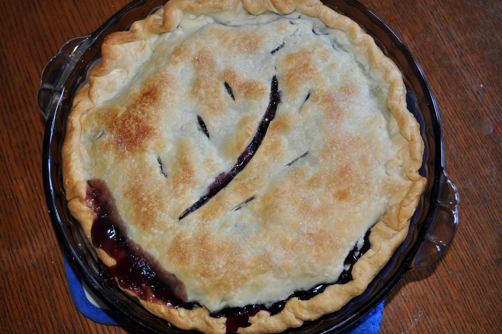Michigan Cottage Cook IT'S BLUEBERRY TIMEGREAT PIES, BAKED OR CHILLEDA FABULOUS BLUEBERRY