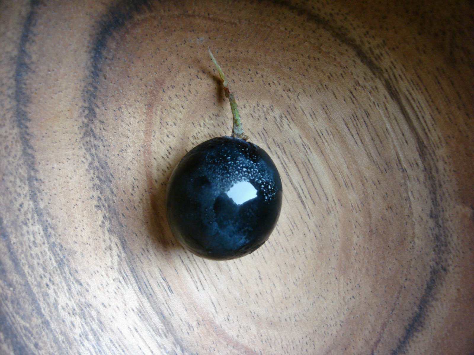 [fruitveggrapes21.jpg]