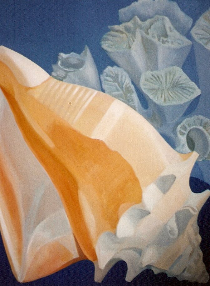 [Digitalizar0002.jpg]