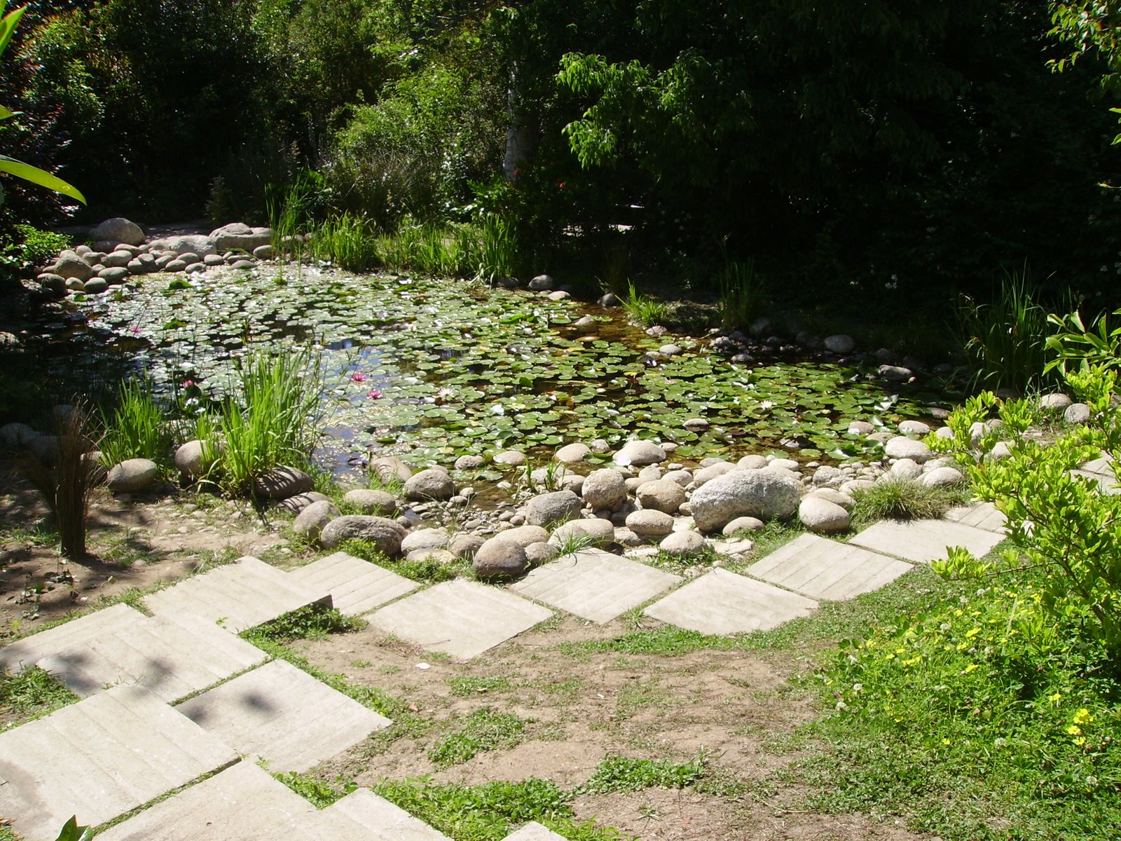 [Gulbenkian7Mai.JPG]