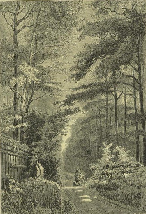 [N17_0005_branca_t0.jpg]