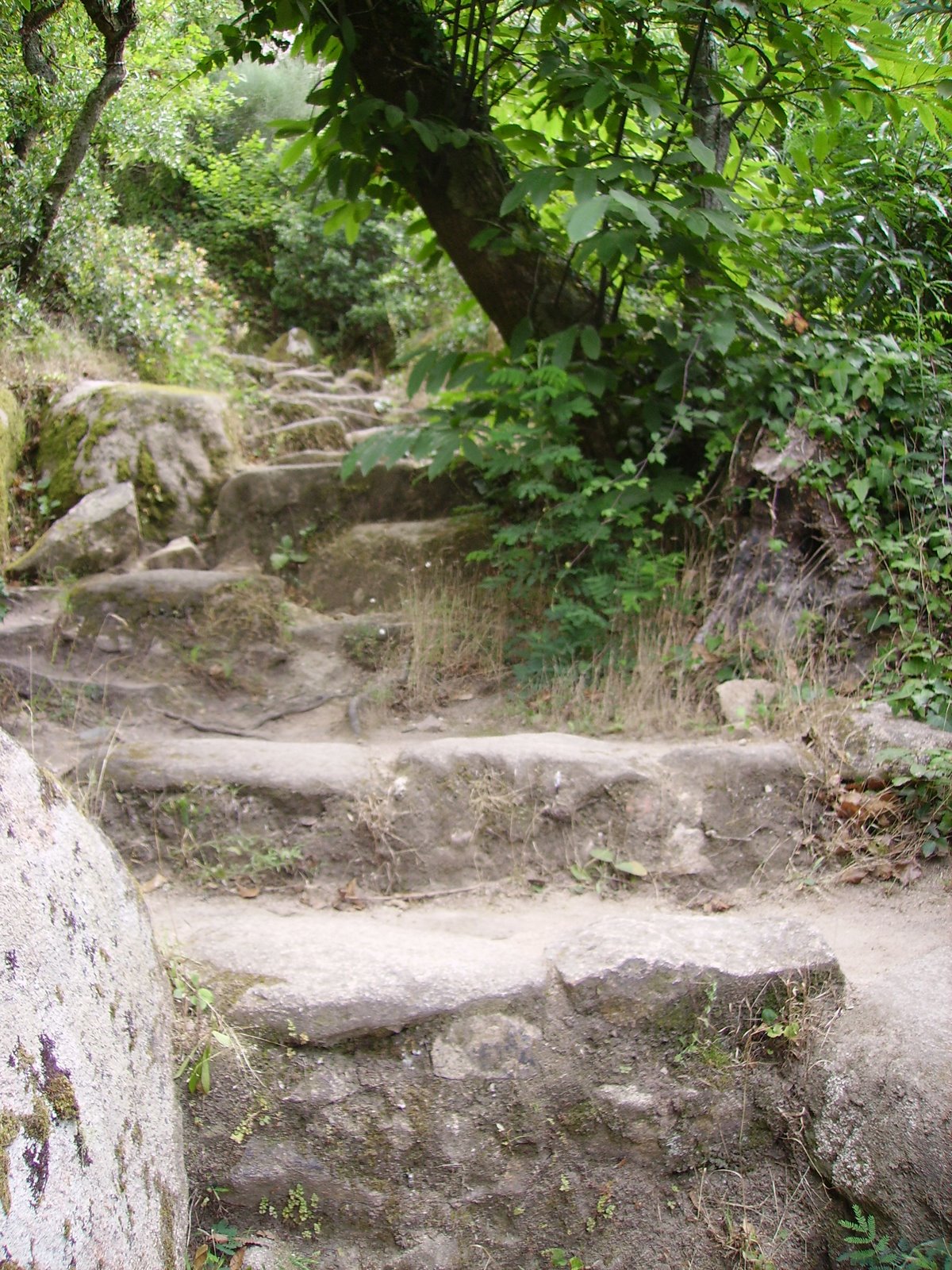 [Capuchos-Caminhoparaahorta.JPG]