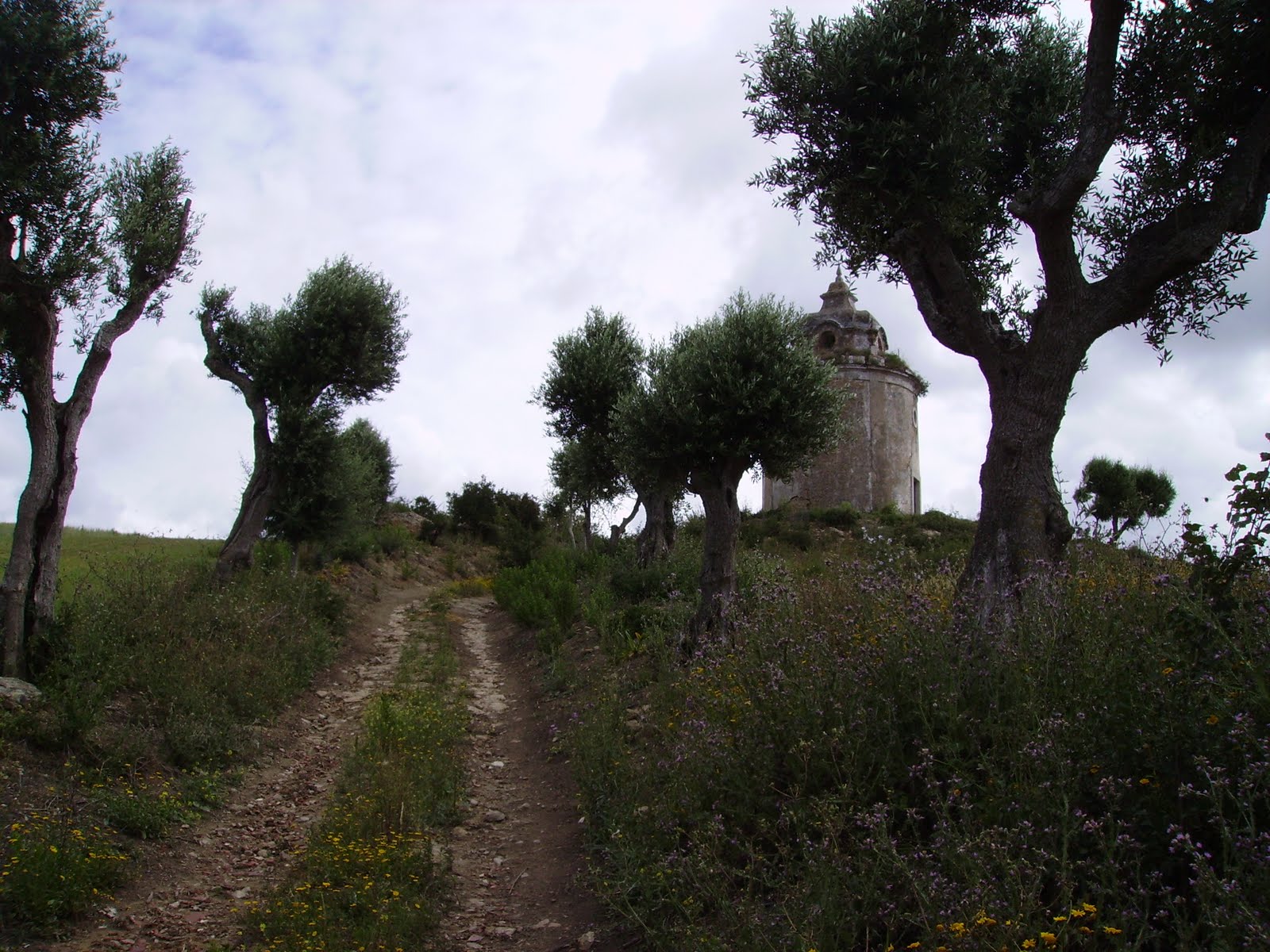 [ermidacatefica.JPG]