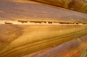 chinking log cracks steps three easy homes logs cedar fill wood