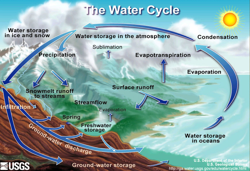 [Water_cycle.png]