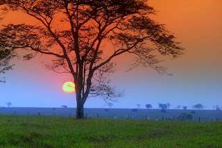Resultado de imagem para POR UM LUGAR AO SOL