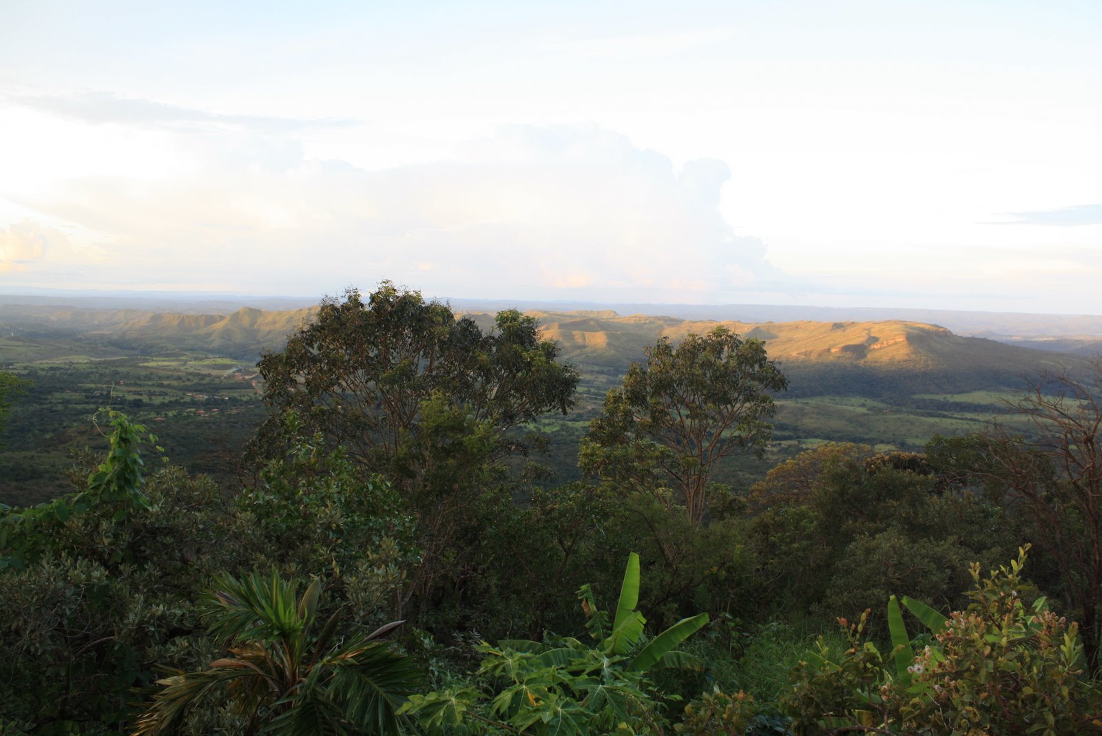 [_2009_03_07_0048.JPG]