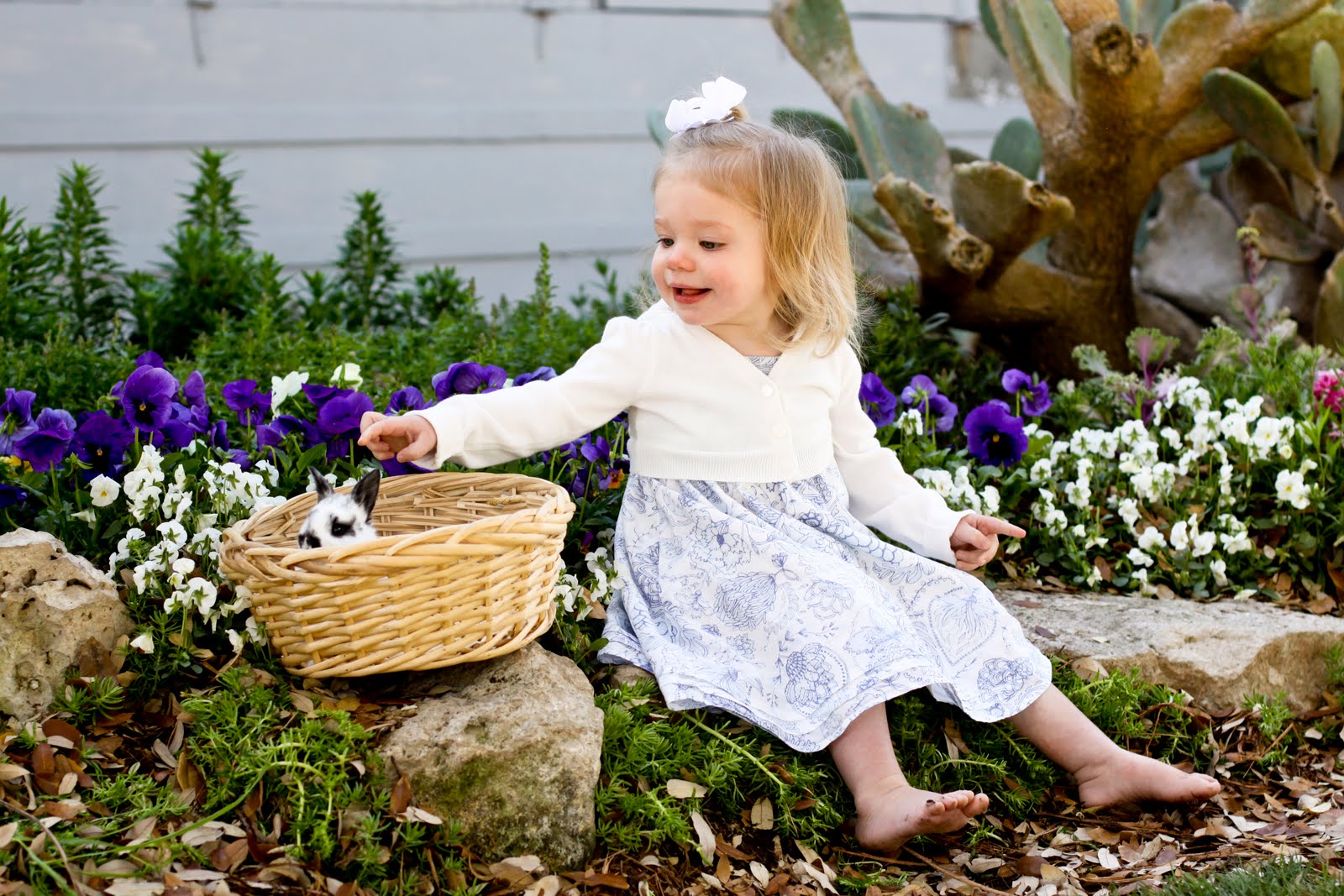 A. Leigh Photography live bunnies part 1 (gruene, texas)