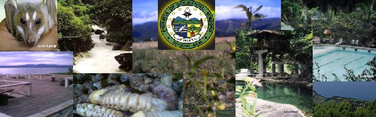 Let's Adventure to Mindoro!